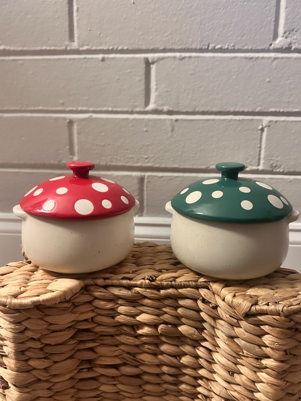 World Market Mushroom Canisters